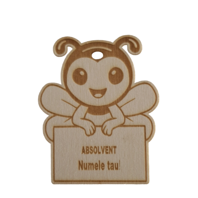 medalie absolvent albinuta