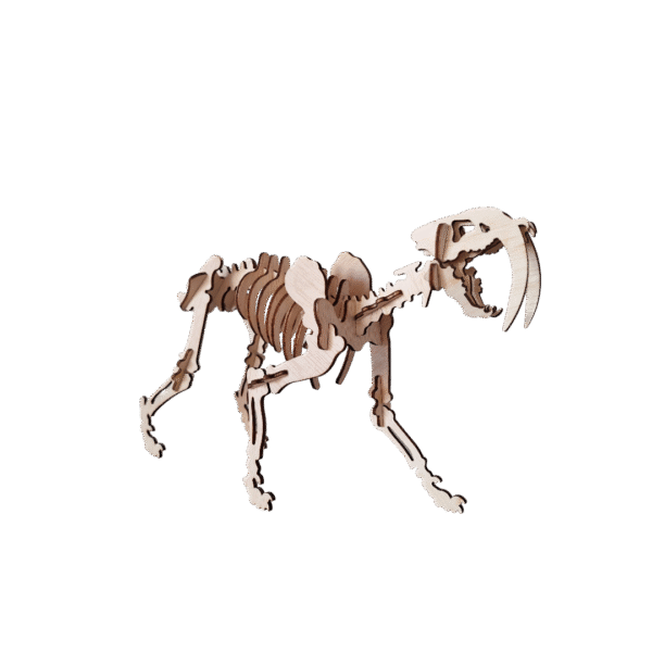 sabertooth sabertooth