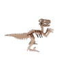 velociraptor